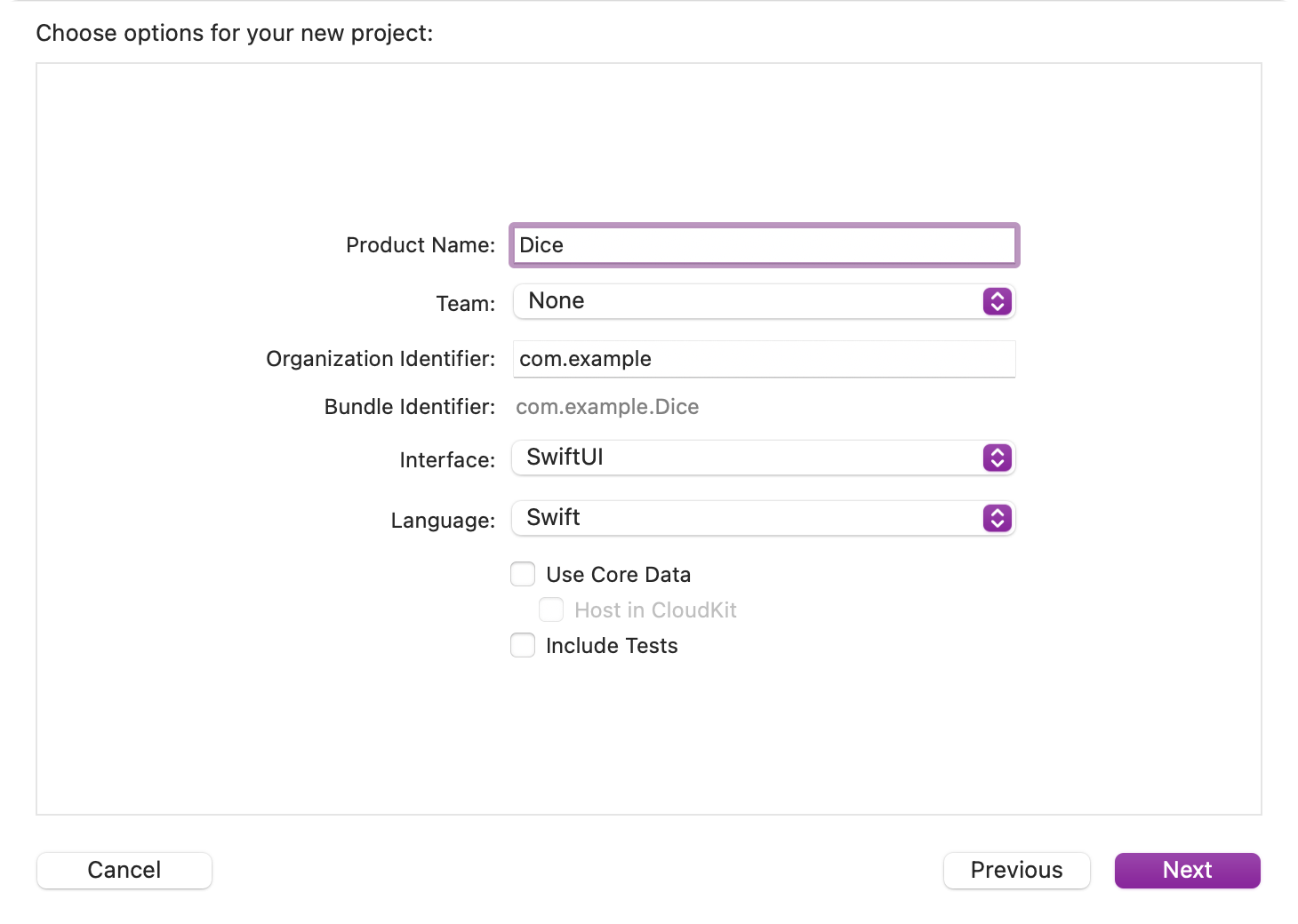 Project settings Dice